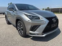 Used 2019 Lexus NX 