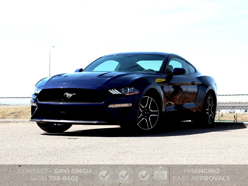 Used 2019 Ford MUSTANG | ECOBOOST | AUTO 