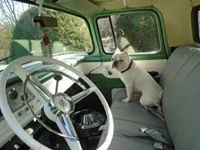 Used 1958 Ford F SERIES 