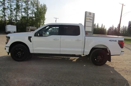 Used 2025 Ford F150 XLT