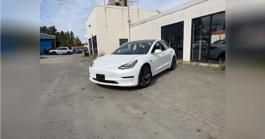 Used 2019 Tesla MODEL 3 STANDARD RANGE PLUS Standard Range Plus RWD