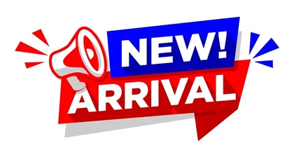 Used 2019 Toyota RAV4 LE