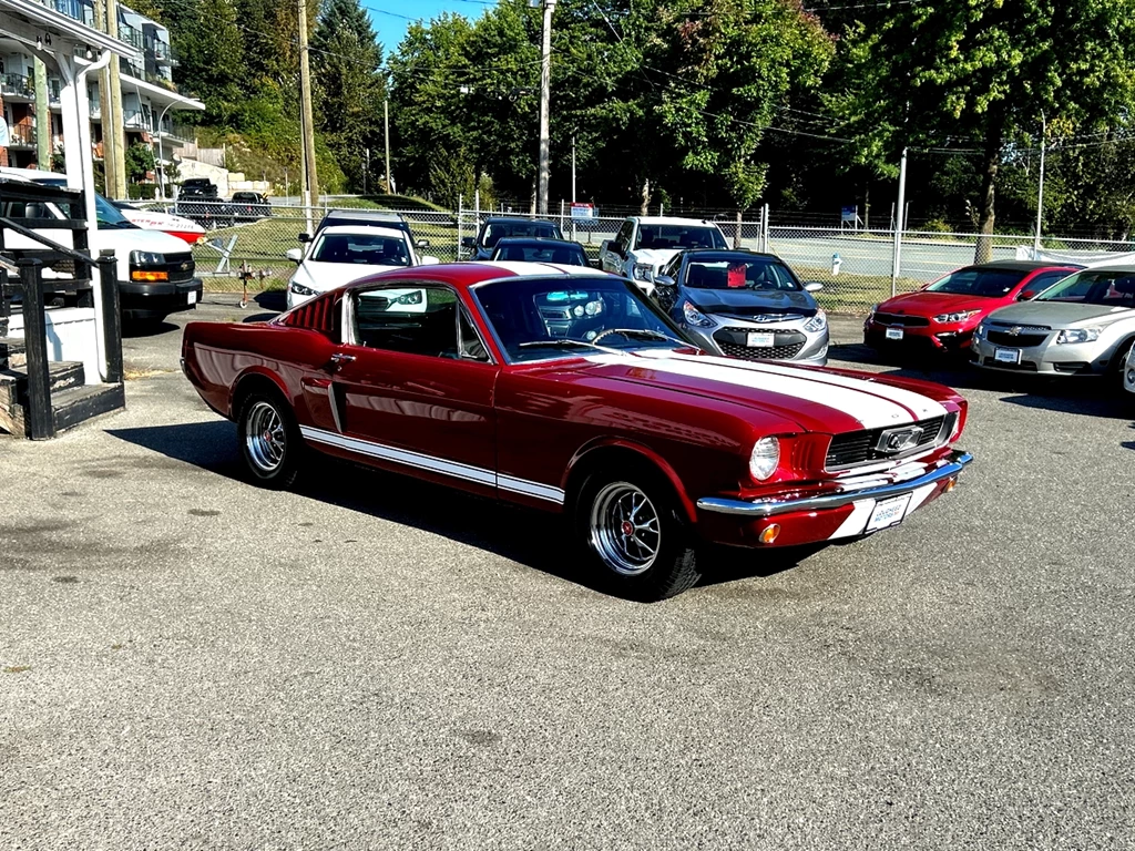 Used 1966 Ford MUSTANG FASTBACK 